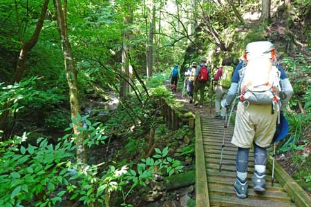白岩滝から南沢あじさい山・苔で滑りやすい木の道
