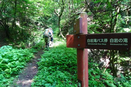白岩滝から南沢あじさい山・道標も整備されていました