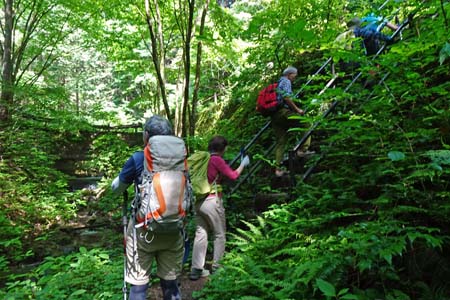白岩滝から南沢あじさい山・鉄の階段を登ると林道
