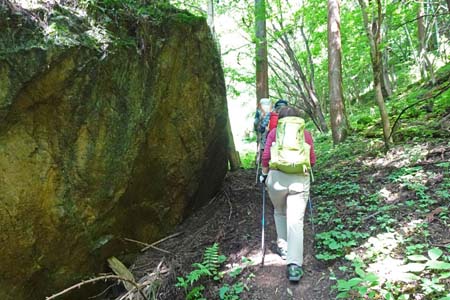 白岩滝から南沢あじさい山・大岩の脇を登り