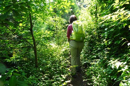 白岩滝から南沢あじさい山・細くなった急坂を登り