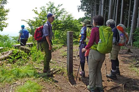 白岩滝から南沢あじさい山・麻生山の山頂