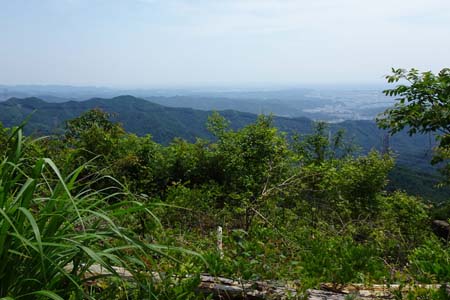 白岩滝から南沢あじさい山・広がる視界の先は所沢のドーム