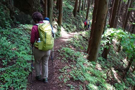 白岩滝から南沢あじさい山・ヒノキ林の道を下って行きます