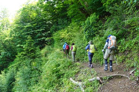 白岩滝から南沢あじさい山・再び金毘羅尾根のハイキングコース