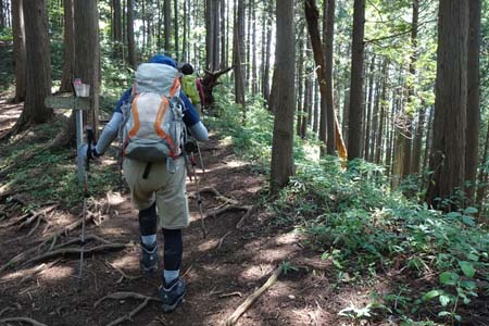 白岩滝から南沢あじさい山・深沢に下る道を左に分け