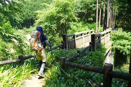 白岩滝から南沢あじさい山・林道を超える木の橋