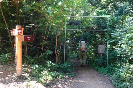 高尾山・６号路への分岐