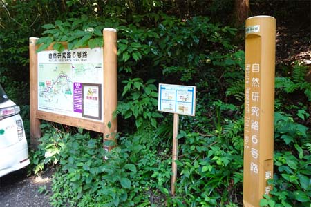 高尾山・６号路の登山口