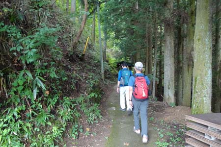 御岳山・神苑の森の入り口
