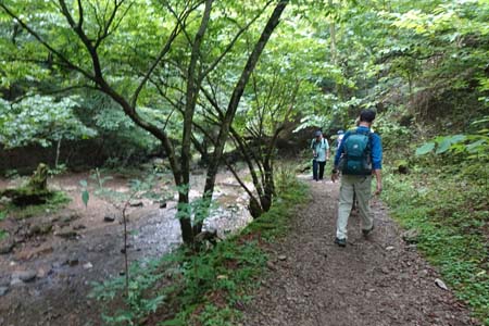 御岳山・沢を渡ると天狗岩への登り