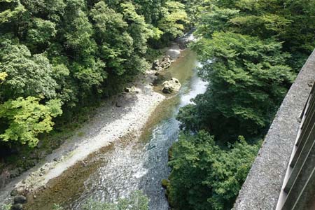 大多摩ウォーキングトレイル・綾瀬橋から見下ろす多摩川
