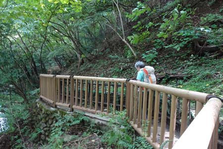 大多摩ウォーキングトレイル・新しい柵は土砂崩れがあったところ