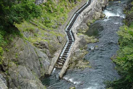 大多摩ウォーキングトレイル・白丸魚道