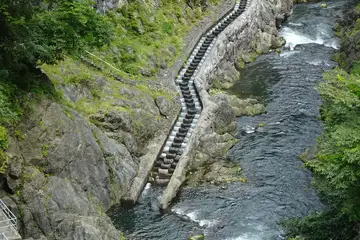 白丸魚道