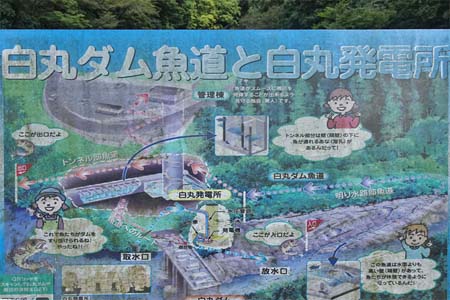 大多摩ウォーキングトレイル・白丸ダム魚道の案内板