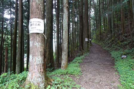 大多摩ウォーキングトレイル・暗い林の道は大楢峠への道