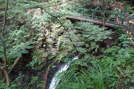 大多摩ウォーキングトレイル・下の滝