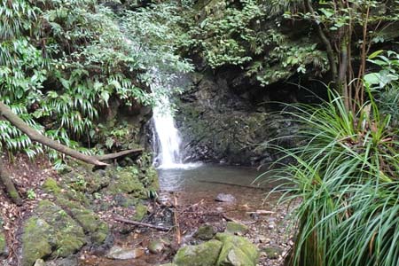 大多摩ウォーキングトレイル・上の滝