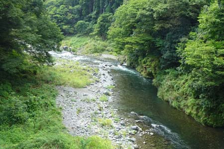 大多摩ウォーキングトレイル・寸庭橋から見下ろす多摩川