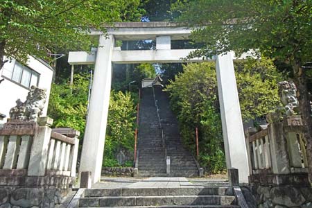 大多摩ウォーキングトレイルＡ－１・急な石段を登って