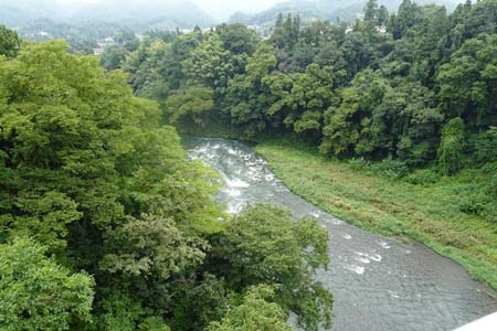 大多摩ウォーキングトレイルＡ－２・神代橋から眺める多摩川