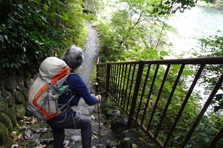 大多摩ウォーキングトレイルＡ－２・急な階段を下ると遊歩道