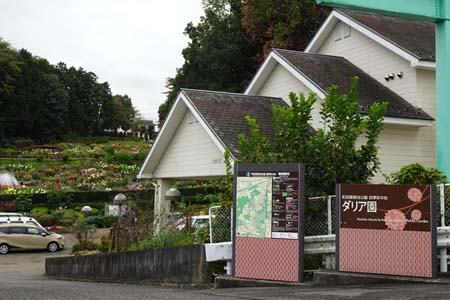 町田市・町田ダリア園