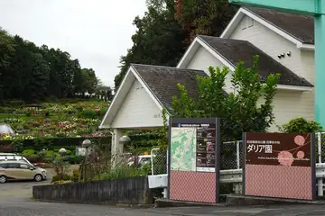 町田ダリア園