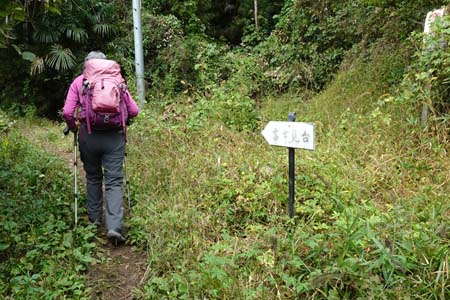 八王子城山・中央線を渡り山道を登り始ります