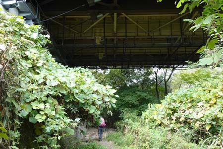 八王子城山・中央道の高架橋下