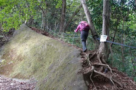 八王子城山・工事用道の脇から固定ロープの道