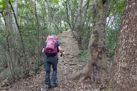 八王子城山・雑木林の中の急な登り