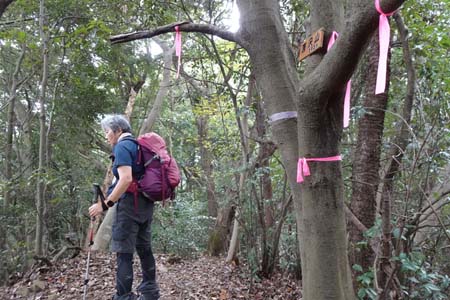 八王子城山・唐沢山