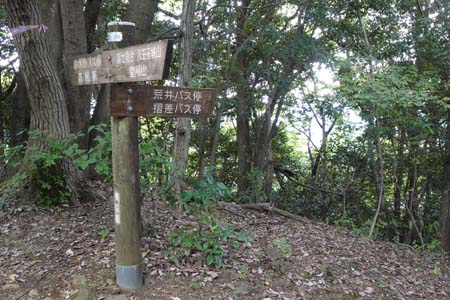 八王子城山・荒井バス停からの道を合わせ