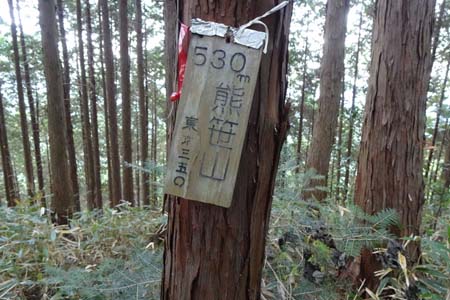 八王子城山・ジグザクに樹林帯を登ると熊笹山