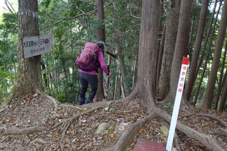 八王子城山・八王子城山への急な下り