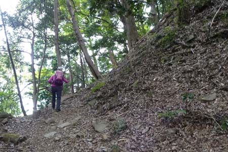 八王子城山・天守閣の大堀切