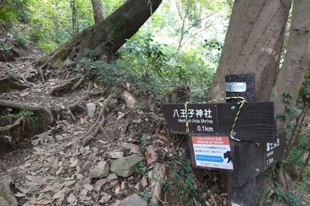 八王子城山・ジグザグに登ると八王子神社
