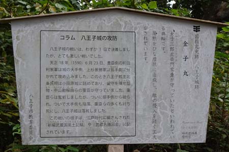 八王子城山・急な石段わきに金子曲輪の案内板