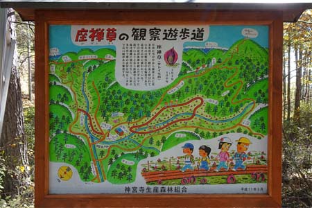 守屋山・ザゼンソウ観察歩道の案内板