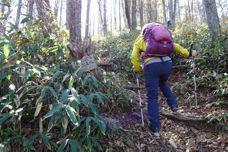 守屋山・雑木林の中の登り