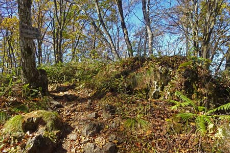 守屋山・雑木林の中にカモシカ岩