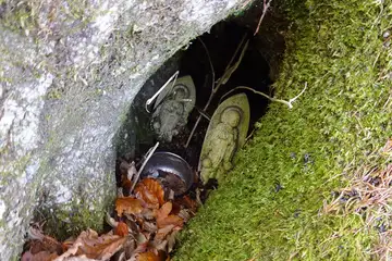 撫難観音