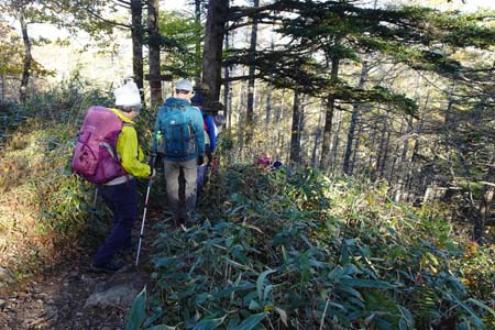 守屋山・途中から立石コースに下り