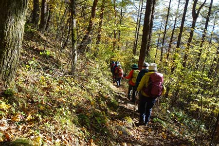 守屋山・紅葉の登山道を下って