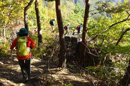 守屋山・木立の先に百畳敷き