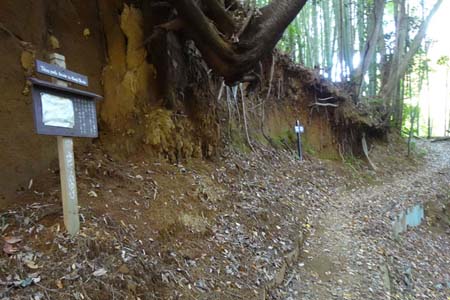 町田市・関屋切通の道標