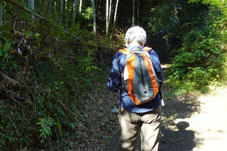 町田市・暗い山道をたどり