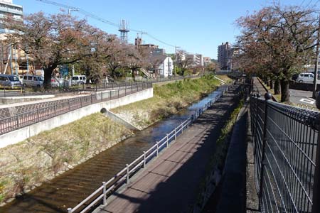 多摩市・遊歩道が続く乞田川